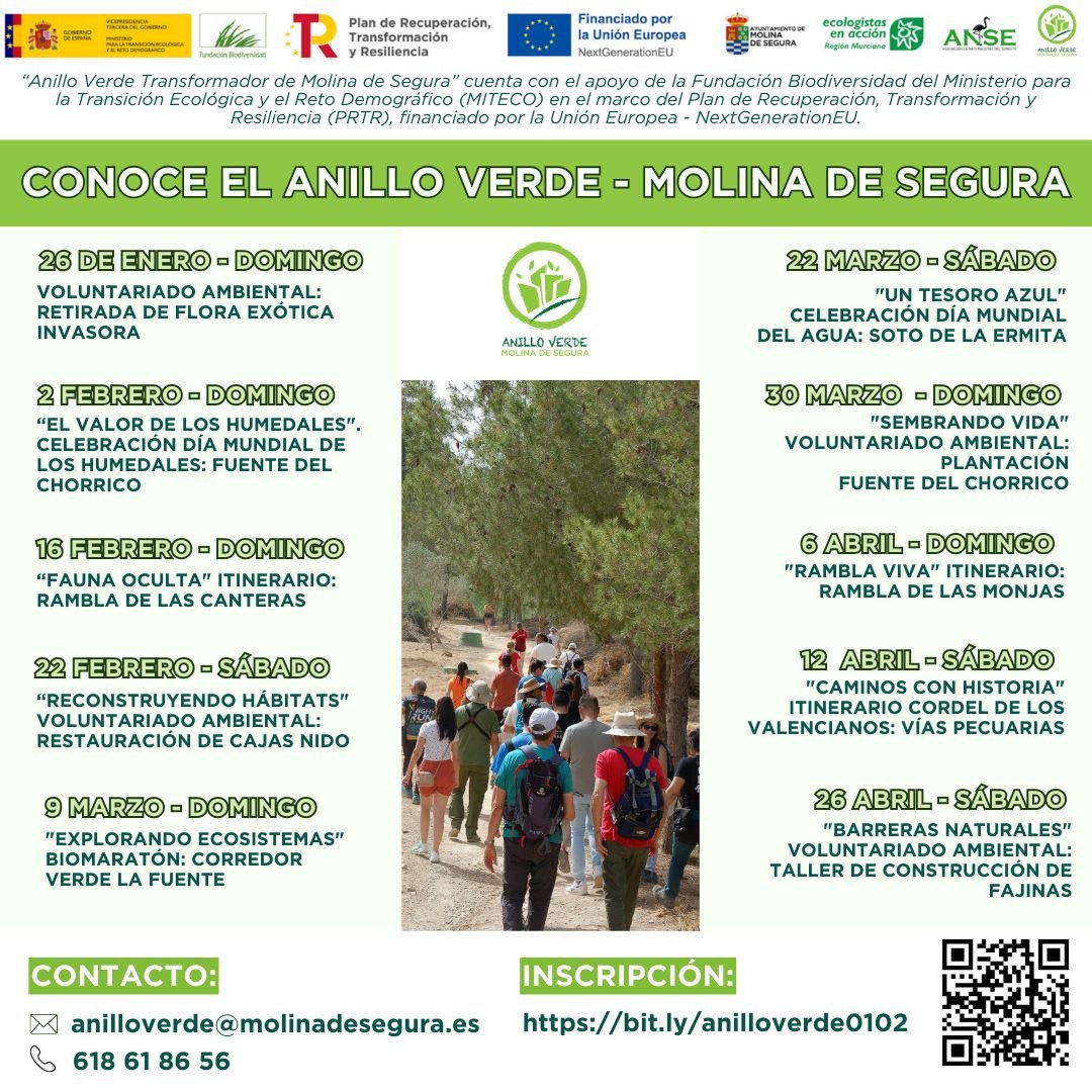 M. Ambiente Molina Proyecto