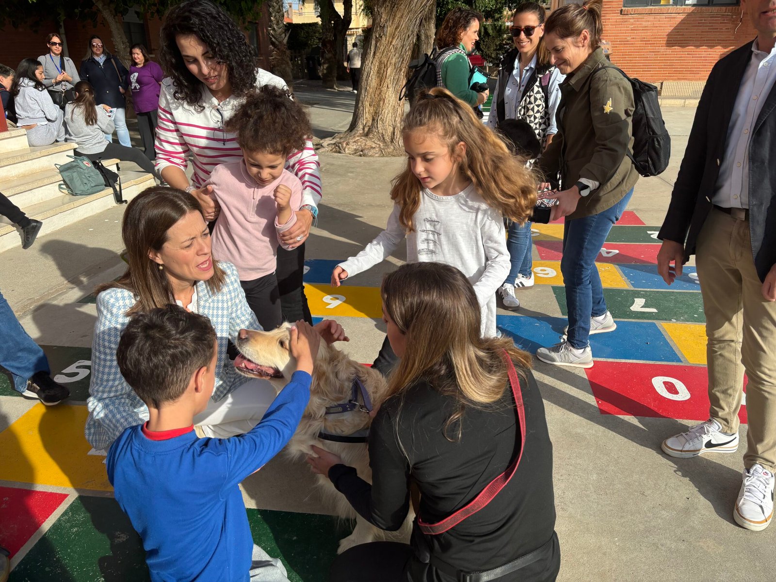 CEIP El Rubial organiza la reunión de primera clase en la región