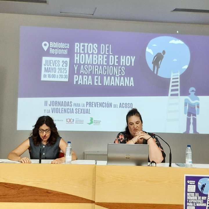 Gerente General de Mujeres y la Prevención de la Violencia de Género, Ana Belén Martínez, durante la II Conferencia para el acoso y ...