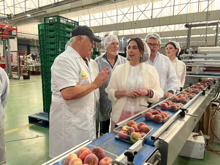 La imagen de la consejera Sara Rubira en la cooperativa en Vega de Cieza, donde trabaja en la campaña de frutas