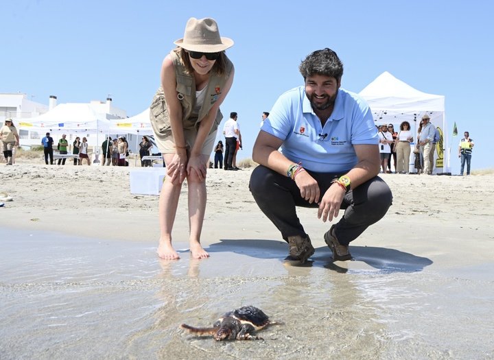 El presidente del gobierno regional, Fernando López Miras, participó hoy en el lanzamiento de 30 copias de tortugas silenciosas en la playa de Esparto, ...