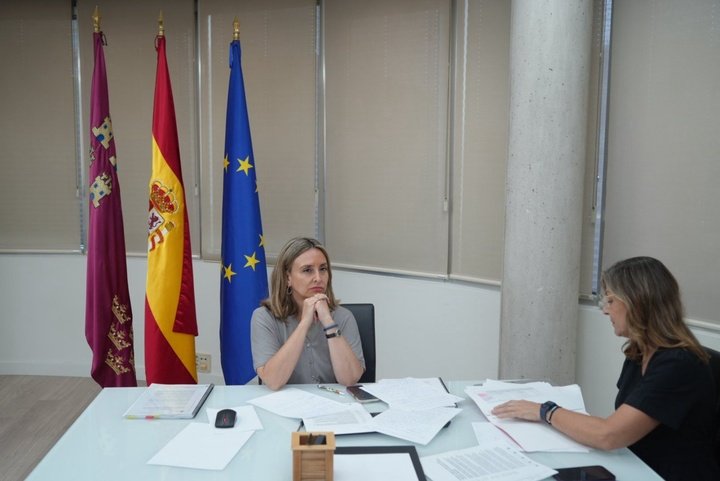 El Ministro de Política Social, Familias e Igualdad, Conchita Ruiz, dentro de la Conferencia Sectorial de la Infancia por Telemática
