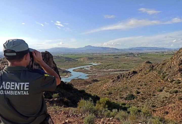 Un agente ambiental sigue un área boscosa de la región, en una imagen de archivo