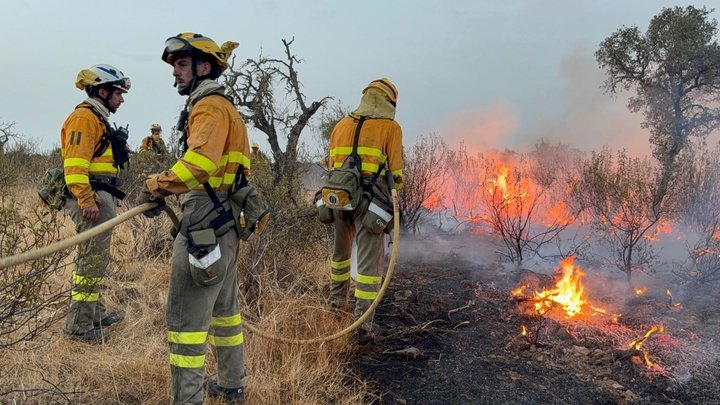 Efectivos de la brigada de bomberos forestales de la Región presta ayuda en la lucha contra el fuego en Extremadura.