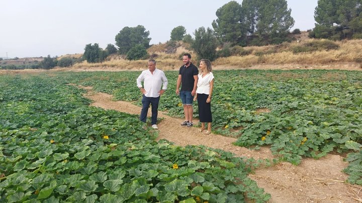 La directora general de la PAC, Ana García Anciones, junto al alcalde de Pliego durante la visita a una finca de un joven agricultor.