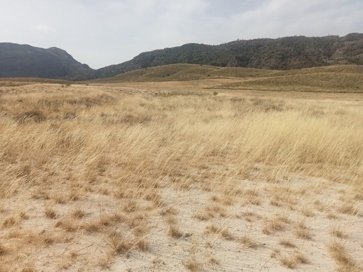 Sierra y Serrata del Puerto y Cabezo Mulata
