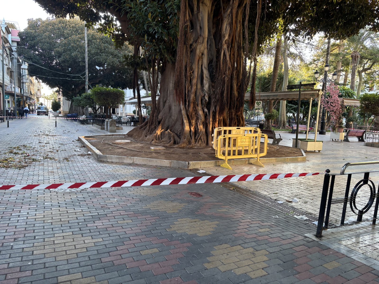 El municipio continúa en alerta amarilla por viento