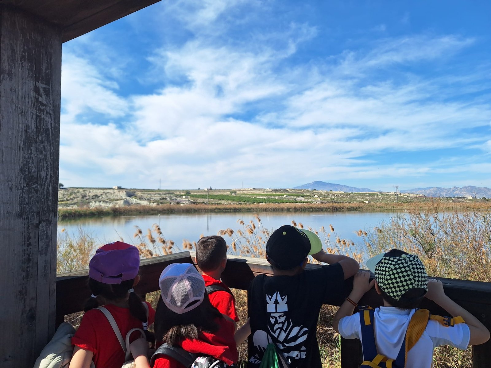 M. Ambiente Programa